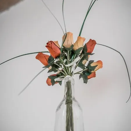 Ghirlandina - La Casa Dell'esteta Apartmán Modena