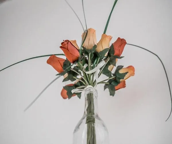 Ghirlandina - La Casa Dell'esteta アパート モデナ